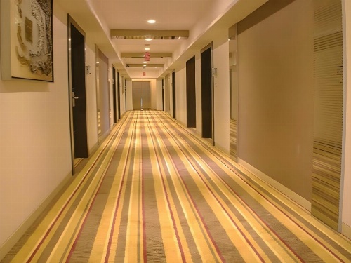 Hotel The Supreme image 6
